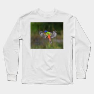 Painted Bunting Bird Flying Colors Long Sleeve T-Shirt